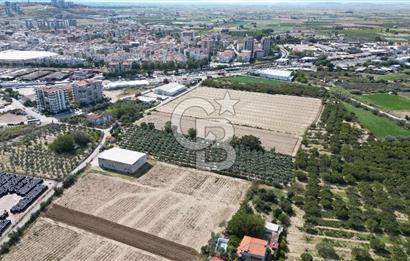 MENEMEN MERMERLİ'DE CB İYA'DAN MUHTEŞEM KONUMDA SATILIK ARAZİ