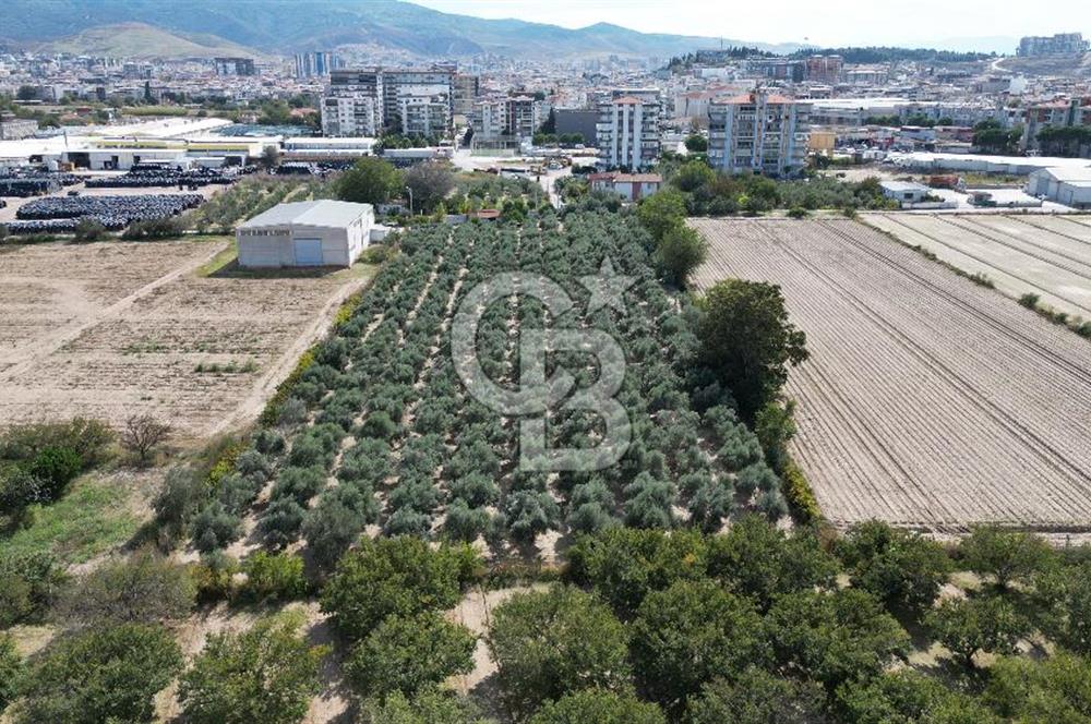 MENEMEN MERMERLİ'DE CB İYA'DAN MUHTEŞEM KONUMDA SATILIK ARAZİ