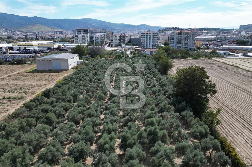 MENEMEN MERMERLİ'DE CB İYA'DAN MUHTEŞEM KONUMDA SATILIK ARAZİ