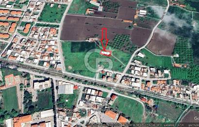 MANİSA TURGUTLU ALBAYRAK 2.Cİ MINTIKA 276 M2 ARSA SATILIK