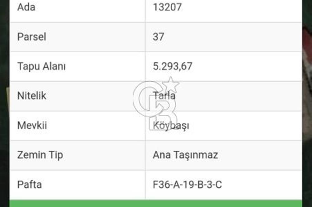 SAMSUN ATAKUM ALANLI'DA SATILIK TARLA