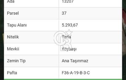 SAMSUN ATAKUM ALANLI'DA SATILIK TARLA