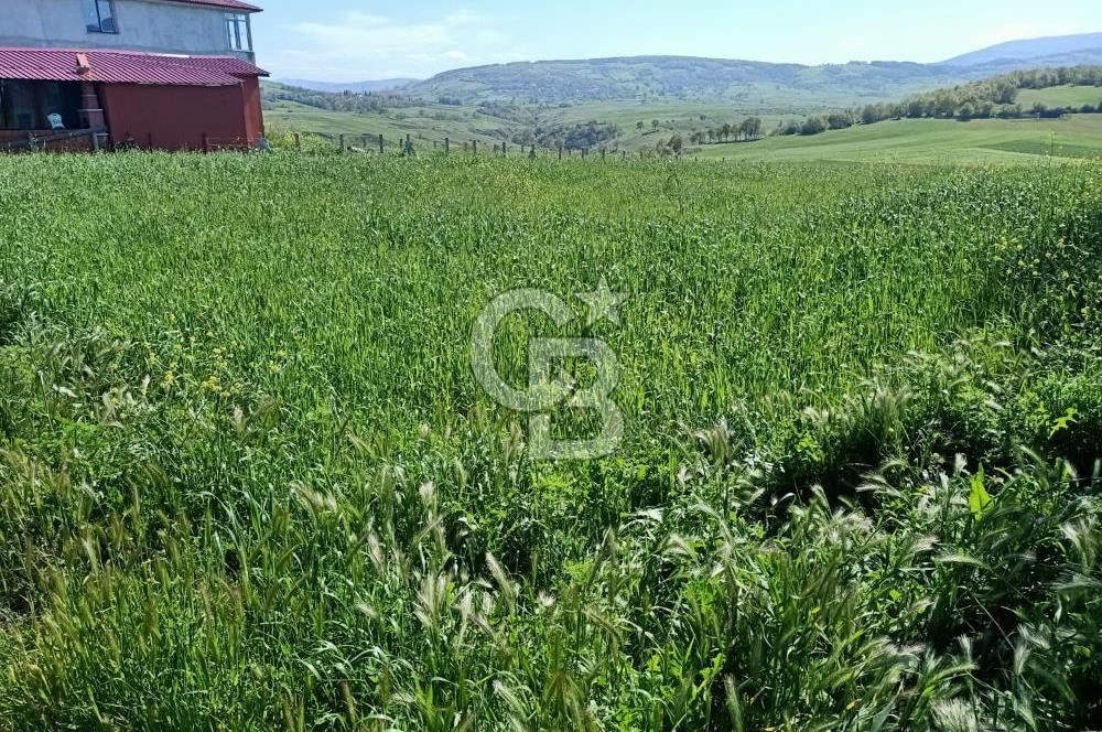 SAMSUN ATAKUM ALANLI'DA SATILIK TARLA