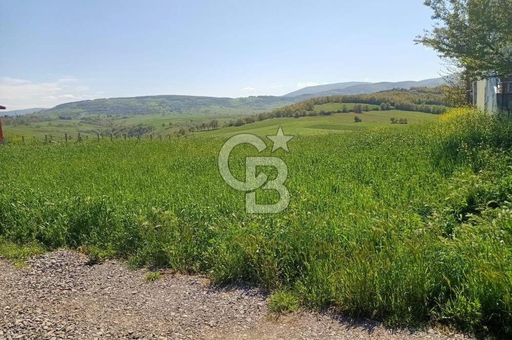 SAMSUN ATAKUM ALANLI'DA SATILIK TARLA