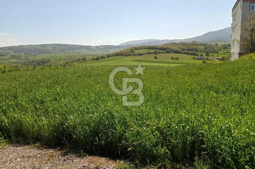 SAMSUN ATAKUM ALANLI'DA SATILIK TARLA