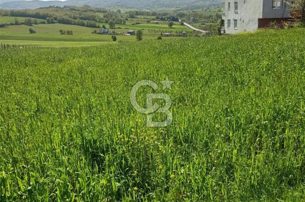 SAMSUN ATAKUM ALANLI'DA SATILIK TARLA