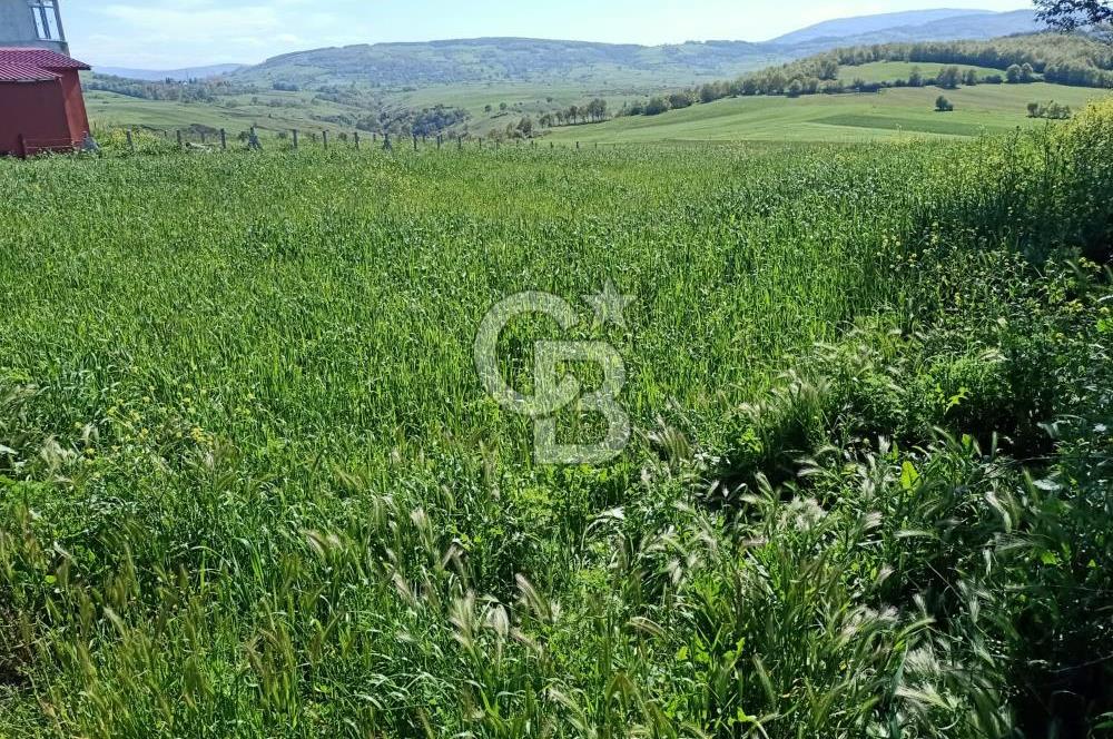 SAMSUN ATAKUM ALANLI'DA SATILIK TARLA