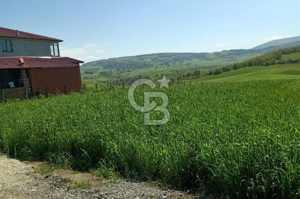 SAMSUN ATAKUM ALANLI'DA SATILIK TARLA