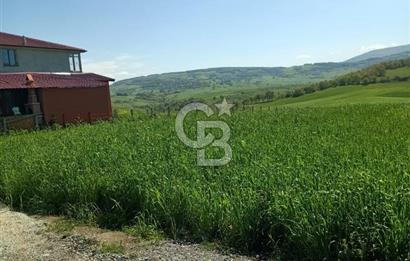 SAMSUN ATAKUM ALANLI'DA SATILIK TARLA