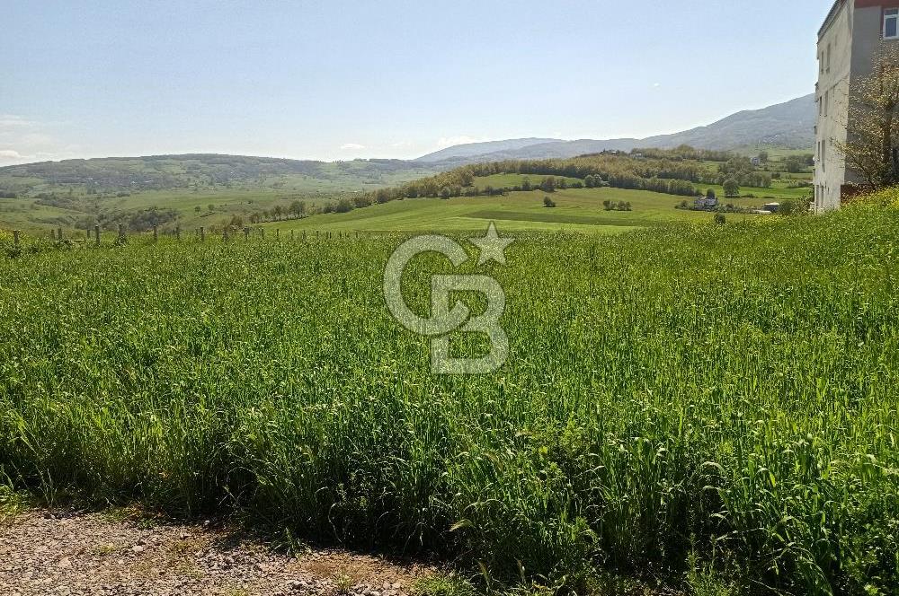SAMSUN ATAKUM ALANLI'DA SATILIK TARLA