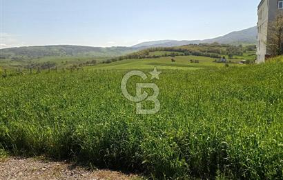 SAMSUN ATAKUM ALANLI'DA SATILIK TARLA