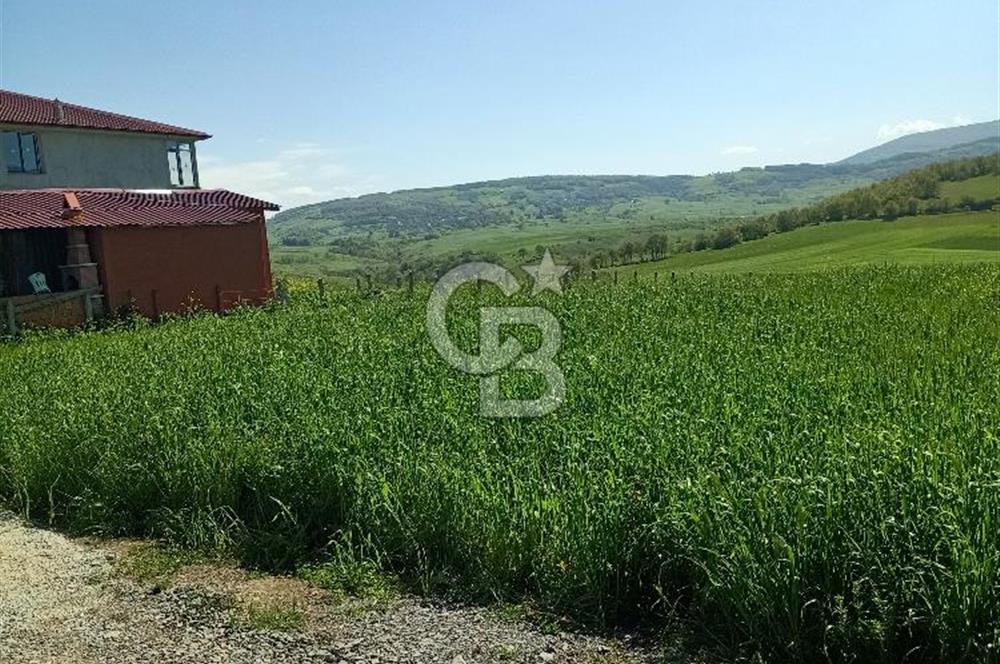 SAMSUN ATAKUM ALANLI'DA SATILIK TARLA