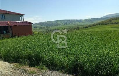 SAMSUN ATAKUM ALANLI'DA SATILIK TARLA