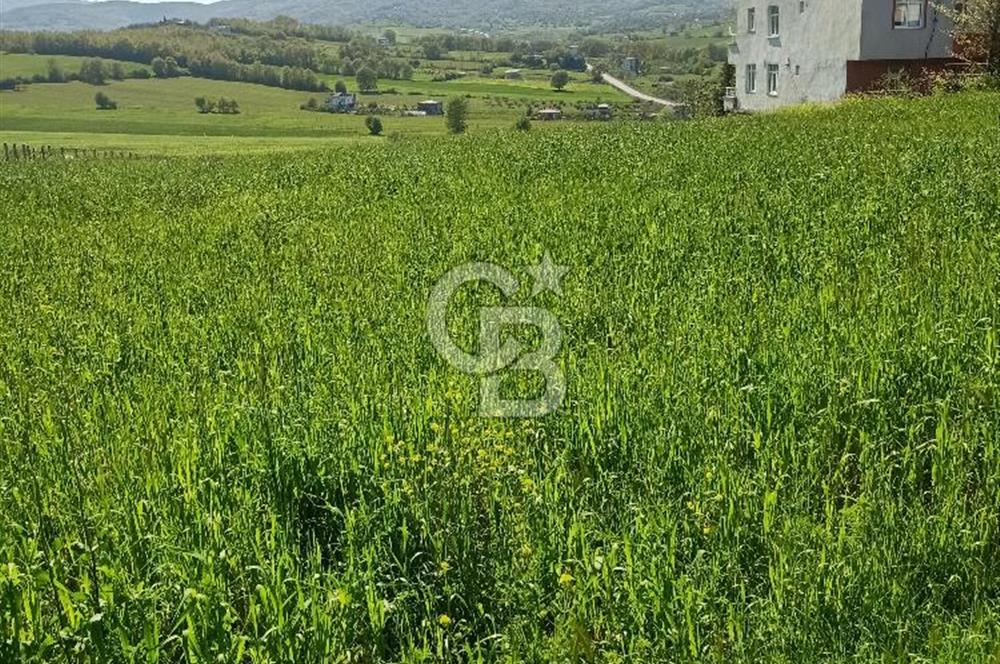 SAMSUN ATAKUM ALANLI'DA SATILIK TARLA