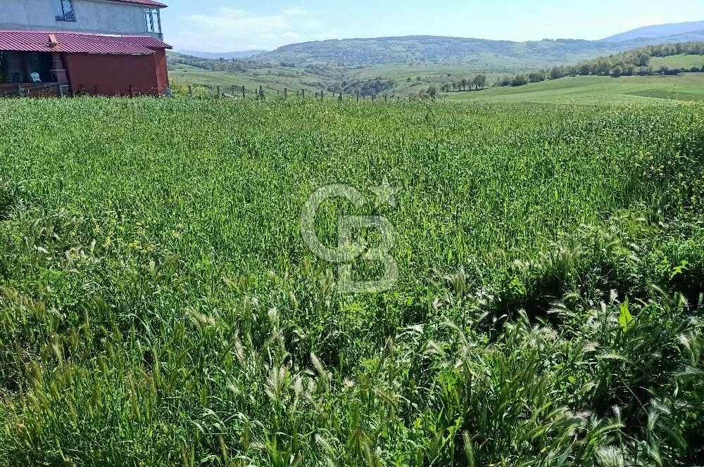 SAMSUN ATAKUM ALANLI'DA SATILIK TARLA