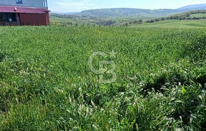 SAMSUN ATAKUM ALANLI'DA SATILIK TARLA