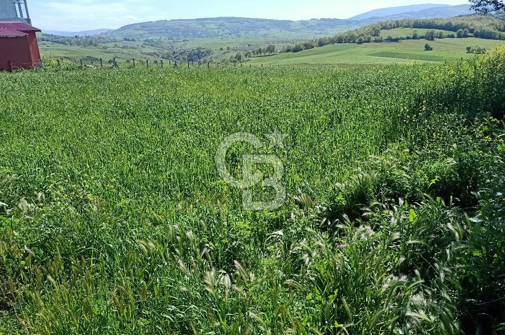 SAMSUN ATAKUM ALANLI'DA SATILIK TARLA