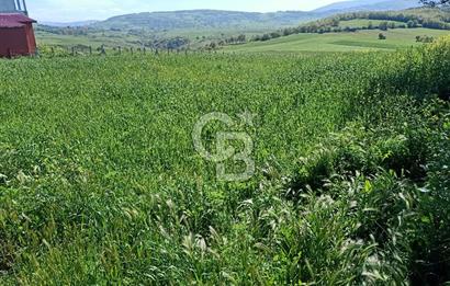 SAMSUN ATAKUM ALANLI'DA SATILIK TARLA
