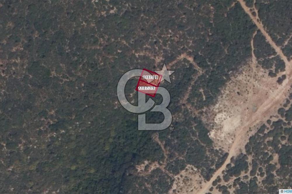 DİDİM AKYENİKÖY’DE VİLLA İMARLI 331 m² ARSA – GELİŞEN BÖLGEDE FIRSAT!