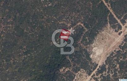 DİDİM AKYENİKÖY’DE VİLLA İMARLI 331 m² ARSA – GELİŞEN BÖLGEDE FIRSAT!