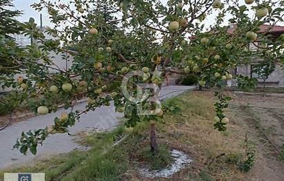 GEDİKLİDE ALT-ÜST AYRI GİRİŞLİ 2 KATLI OTANTİK KÖY KONAĞI