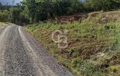 SAMSUN 19 MAYIS ÇİFTLİK MAHALLESİNDE MUSTAFA ŞEN'DEN  SATILIK FINDIKLIK 