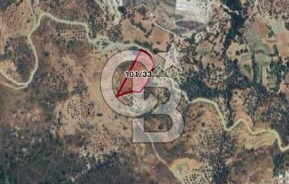 İzmir Karaburun Hasseki’de 7.003 m² Deniz Manzaralı Satılık Tarla