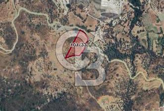 İzmir Karaburun Hasseki’de 7.003 m² Deniz Manzaralı Satılık Tarla