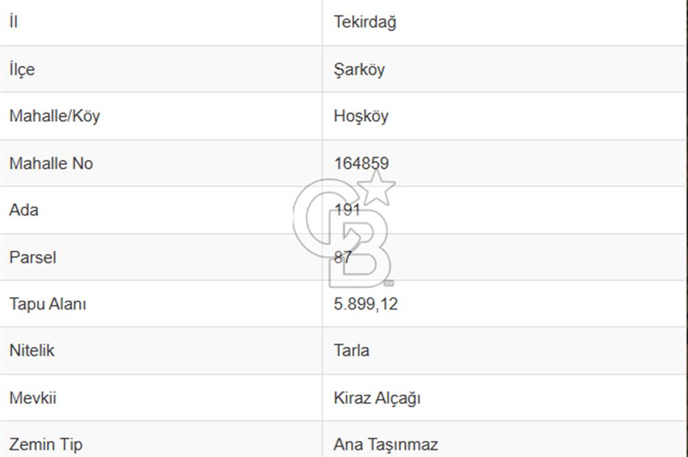 Tekirdağ Şarköy Hoşköy'de Kelepir Zeytinlik