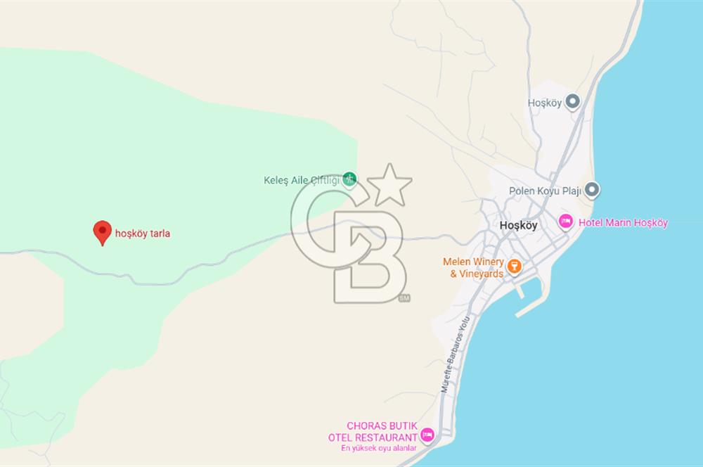 Tekirdağ Şarköy Hoşköy'de Kelepir Zeytinlik