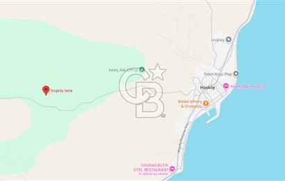 Tekirdağ Şarköy Hoşköy'de Kelepir Zeytinlik