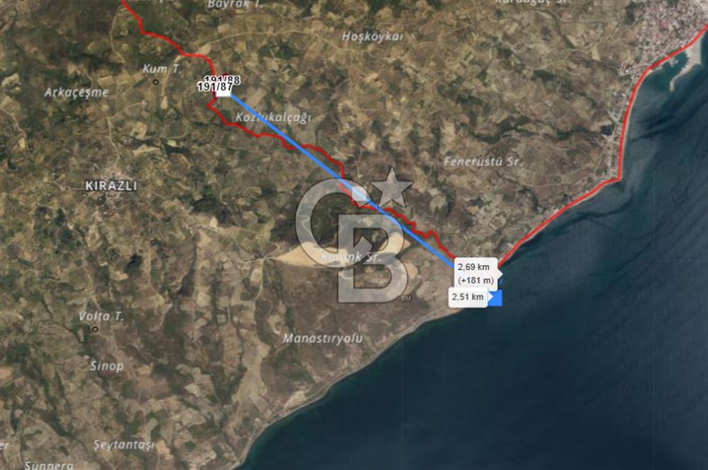 Tekirdağ Şarköy Hoşköy'de Kelepir Zeytinlik