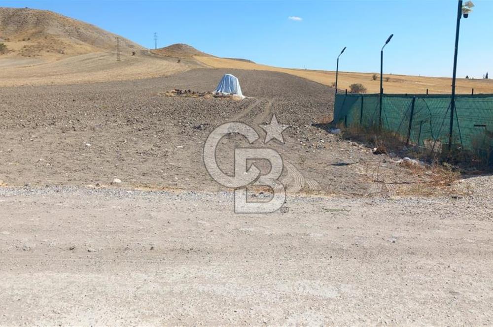 Beypazarı Sapçalan mah 407m2 Tarla