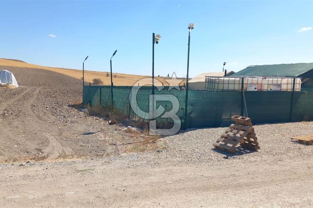 Beypazarı Sapçalan mah 407m2 Tarla