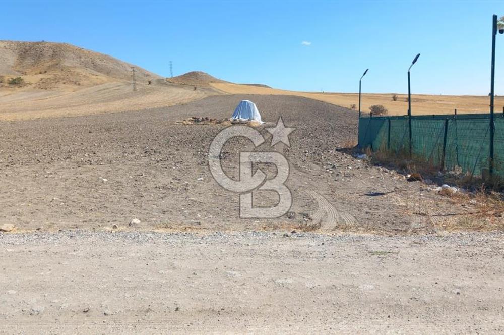 Beypazarı Sapçalan mah 407m2 Tarla
