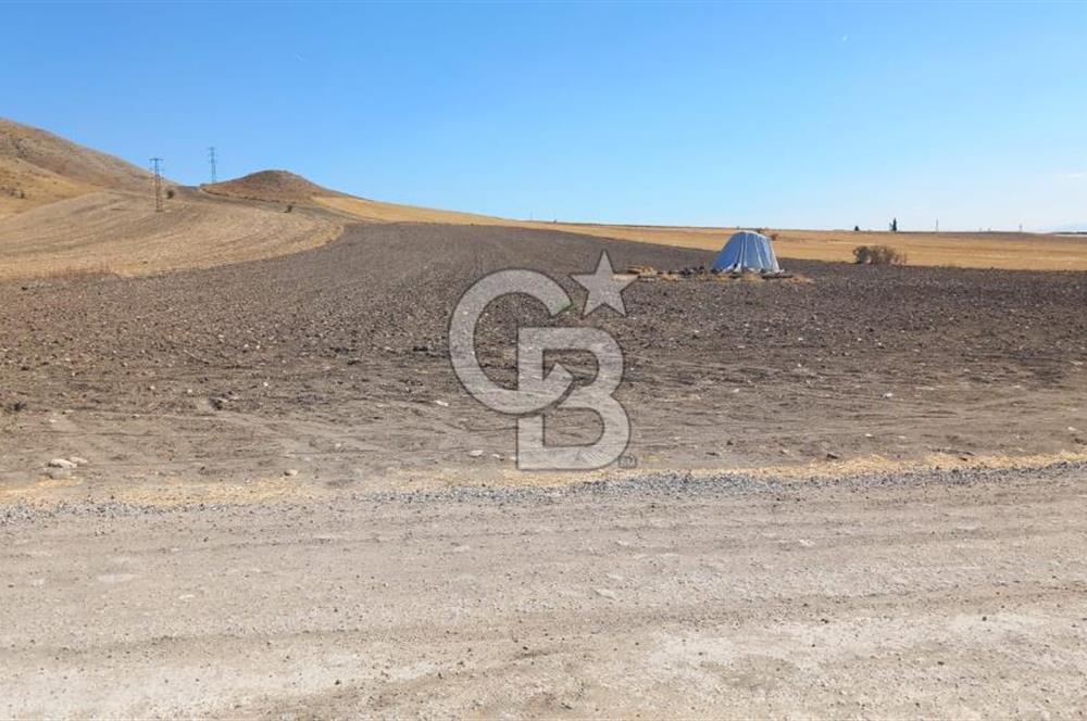 Beypazarı Sapçalan mah 407m2 Tarla