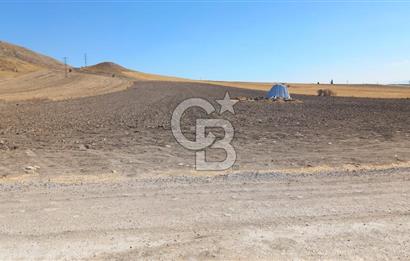 Beypazarı Sapçalan mah 407m2 Tarla