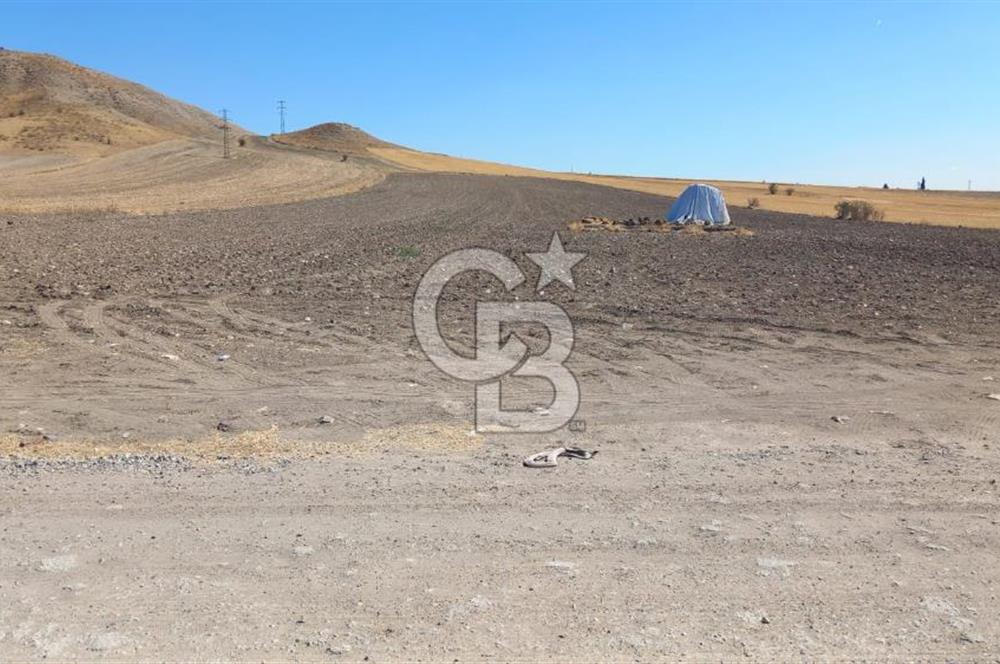 Beypazarı Sapçalan mah 407m2 Tarla