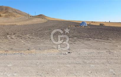 Beypazarı Sapçalan mah 407m2 Tarla