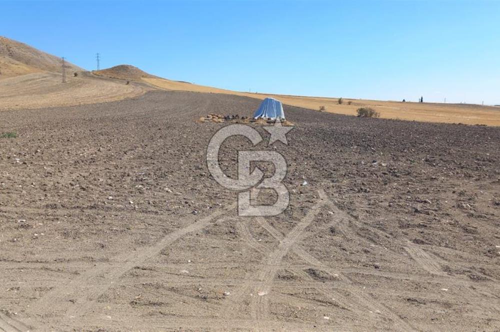 Beypazarı Sapçalan mah 407m2 Tarla