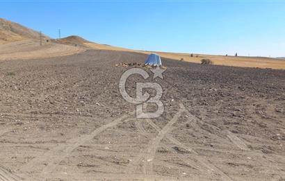 Beypazarı Sapçalan mah 407m2 Tarla