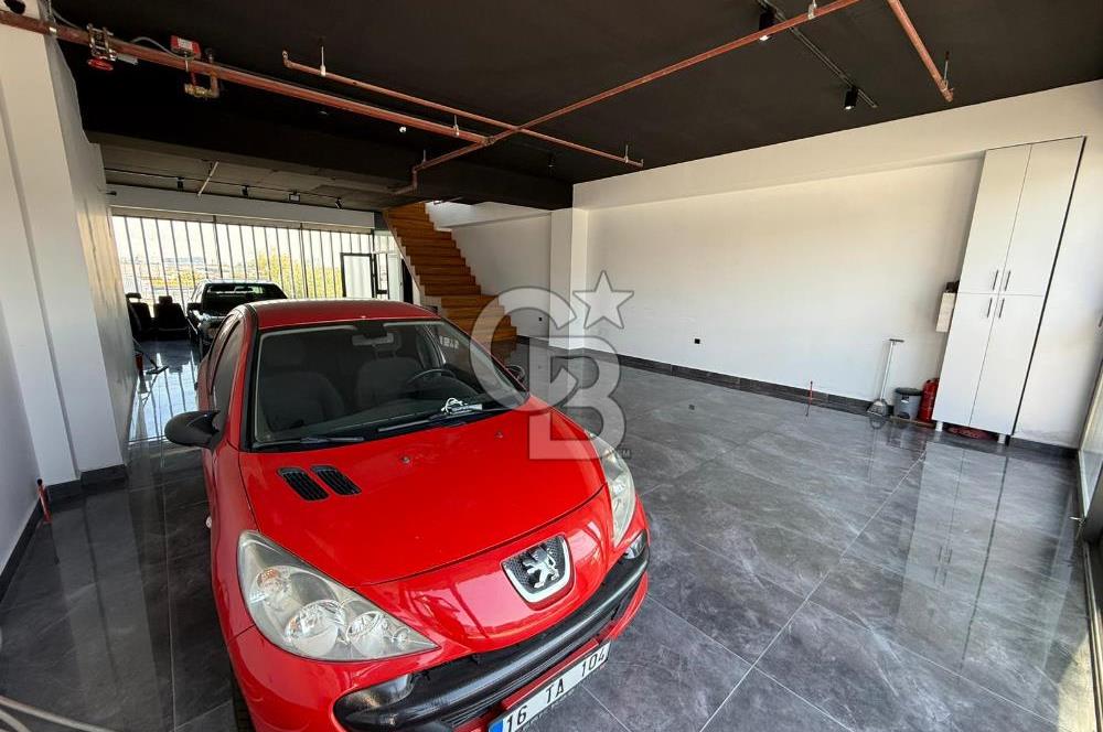 OTORİTE ŞAŞMAZ MASRAFSIZ KULLANIMA HAZIR 250 MT2 DUBLEKS DÜKKAN