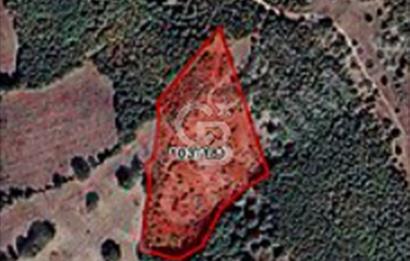 BALIKESİR BALYA ILICA/ATATÜRK MEVKİİ 12.500m2 TARLA