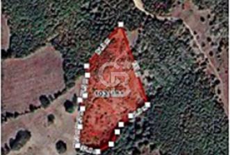 BALIKESİR BALYA ILICA/ATATÜRK MEVKİİ 12.500m2 TARLA