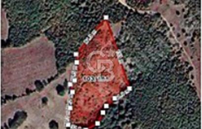 BALIKESİR BALYA ILICA/ATATÜRK MEVKİİ 12.500m2 TARLA