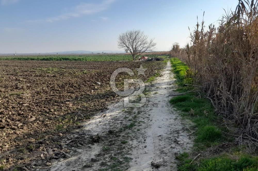 Akhisar Satılık  21.250 m2 Tarla