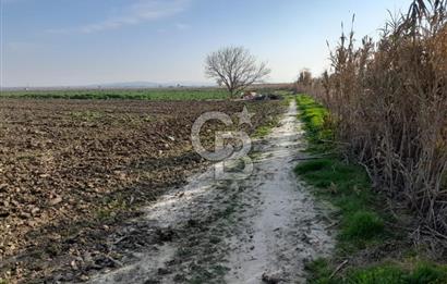 Akhisar Satılık  21.250 m2 Tarla