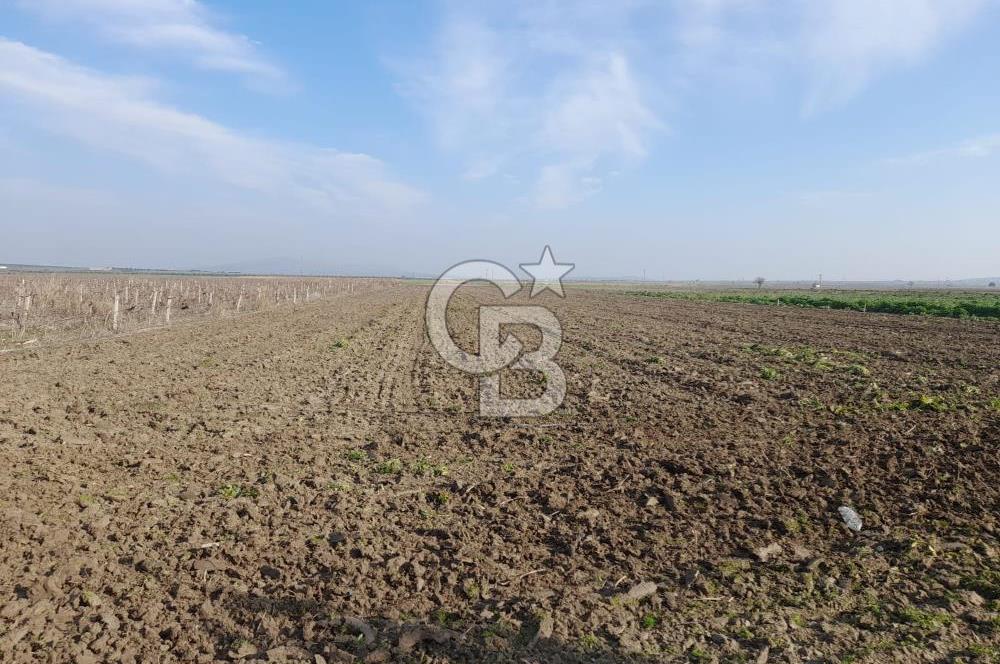 Akhisar Satılık  21.250 m2 Tarla