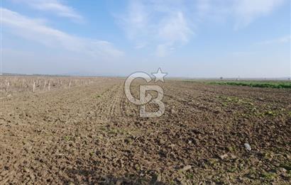 Akhisar Satılık  21.250 m2 Tarla