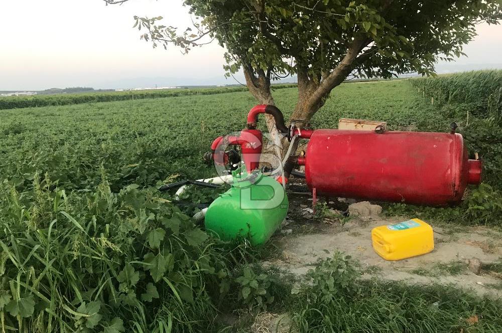 Akhisar Satılık  21.250 m2 Tarla